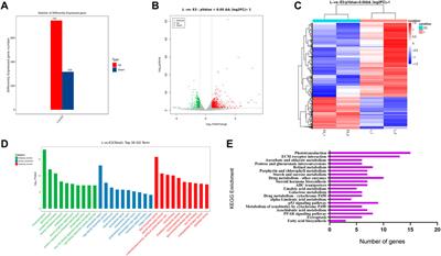 Toxic effects of combined exposure of tritiated water and genistein on the growth and development of zebrafish and its mechanism